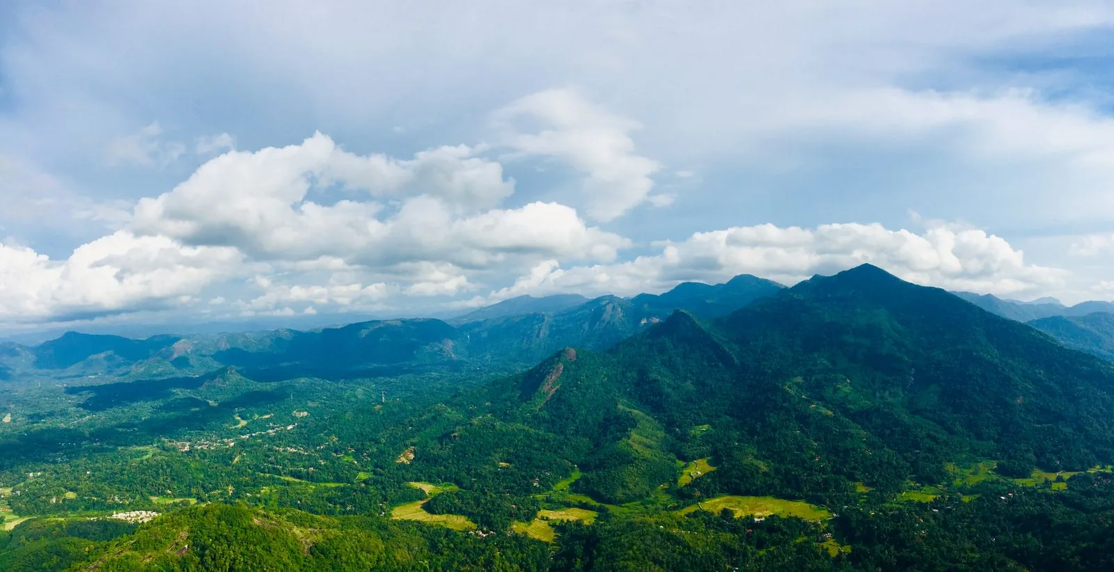 Lush green tea plantations rolling across the Sri Lankan hills